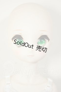 画像2: MDD/ドリームチョイス　DC-H-21+もちあしボディ A-26-07-27-103-NY-ZA