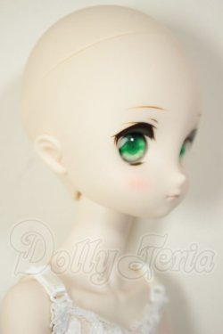 画像3: MDD/ドリームチョイス　DC-H-21+もちあしボディ A-26-07-27-103-NY-ZA