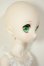画像3: MDD/ドリームチョイス　DC-H-21+もちあしボディ A-26-07-27-103-NY-ZA (3)