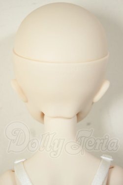 画像5: MDD/ドリームチョイス　DC-H-21+もちあしボディ A-26-07-27-103-NY-ZA