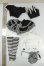 画像2: MDD/OF:衣装セット A-26-07-27-196-NY-ZA (2)