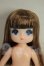 画像1: プチジェニー/ナイチンゲール　エクセリーナ　本体のみ A-26-08-10-281-NY-ZA (1)