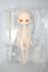 画像1: Harmonia bloom/blooming doll(Sunrise) A-26-07-27-152-NY-ZA (1)