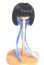 画像1: TinyFox/6-7inch ウィッグ　オニイトマキエイ 毒香/0 A-26-08-17-026-NY-ZA (1)