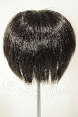 画像2: 7-8inch/ウィッグ A-26-08-10-209-NY-ZA