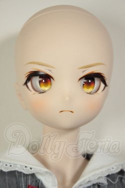 画像2: DDS/DC-H-29　ドリームチョイス A-26-07-27-301-NY-ZA