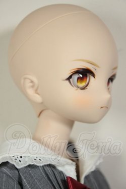 画像3: DDS/DC-H-29　ドリームチョイス A-26-07-27-301-NY-ZA