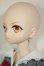 画像4: DDS/DC-H-29　ドリームチョイス A-26-07-27-301-NY-ZA (4)