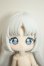画像1: MOOWOOART シュガー100％　ブルーベリータルト A-26-07-27-295-NY-ZA (1)