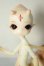 画像1: Dream Valley/Ruby A-26-07-27-328-NY-ZA (1)