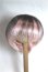 画像1: 7-8inch/ウィッグ　BJD CROBI/ A-26-08-17-054-NY-ZA (1)