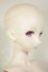画像3: DD/四条貴音 A-26-07-27-303-NY-ZA (3)