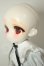 画像4: TinyFox/ 狐狐神・闇神グラファ A-26-07-27-307-NY-ZA (4)