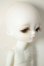 画像2: WITH DOLL/SHAWN A-26-08-03-109-NY-ZA (2)