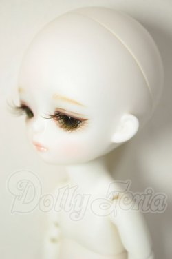 画像3: WITH DOLL/SHAWN A-26-08-03-109-NY-ZA
