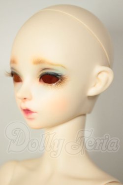 画像3: FAIRY LAND/FairyLine60 Miwa Full Option Package (Antique Rabbit) A-26-08-03-108-NY-ZA