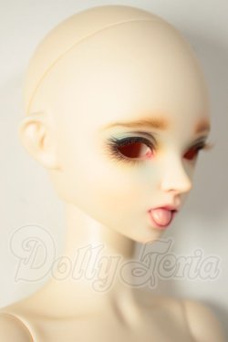 画像5: FAIRY LAND/FairyLine60 Miwa Full Option Package (Antique Rabbit) A-26-08-03-108-NY-ZA
