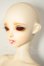 画像6: FAIRY LAND/FairyLine60 Miwa Full Option Package (Antique Rabbit) A-26-08-03-108-NY-ZA (6)