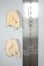 画像2: FairyLine/FeePle60 Hands A-26-08-03-337-NY-ZA (2)