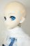 画像4: DD/雪ミク A-26-08-03-104-NY-ZA (4)
