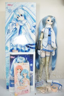 画像9: DD/雪ミク A-26-08-03-104-NY-ZA