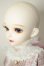 画像4: MYOUDOLL/1/4/Delia A-26-08-03-151-NY-ZA (4)