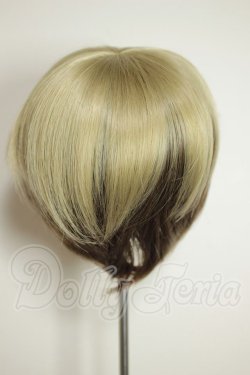 画像2: 8-9inch/ウィッグ A-26-08-03-304-NY-ZA
