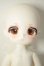 画像1: TinyFox/デビー A-26-08-03-152-NY-ZA (1)