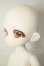 画像3: TinyFox/デビー A-26-08-03-152-NY-ZA (3)