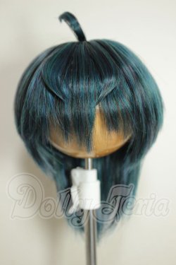 画像1: 8.5inch/ウィッグ A-26-08-03-234-NY-ZA