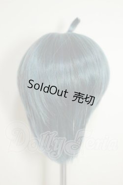 画像2: 8.5inch/ウィッグ A-26-08-03-234-NY-ZA