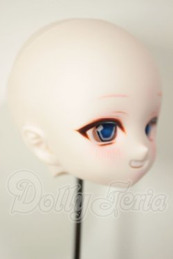 画像2: DDH-01/カスタムヘッド A-26-08-10-116-NY-ZA