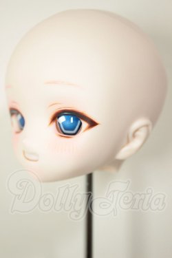 画像3: DDH-01/カスタムヘッド A-26-08-10-116-NY-ZA