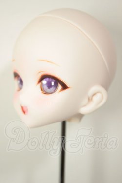 画像3: DDH-10/カスタムヘッド A-26-08-10-121-NY-ZA