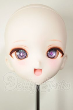 画像1: DDH-10/カスタムヘッド A-26-08-10-120-NY-ZA