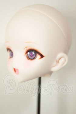 画像3: DDH-10/カスタムヘッド A-26-08-10-120-NY-ZA