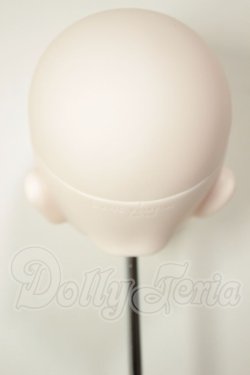 画像4: DDH-10/カスタムヘッド A-26-08-10-120-NY-ZA