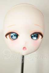 DD/DDH-27:カスタムヘッド A-26-08-10-113-NY-ZA