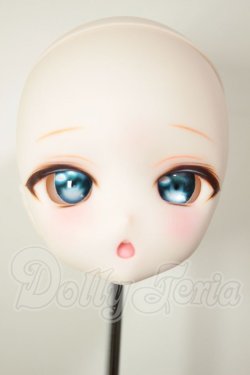 画像1: DD/DDH-27:カスタムヘッド A-26-08-10-113-NY-ZA