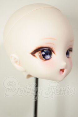 画像2: DD/DDH-27:カスタムヘッド A-26-08-10-112-NY-ZA