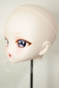 画像3: DD/DDH-27:カスタムヘッド A-26-08-10-112-NY-ZA