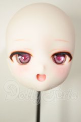 DD/DDH-29　カスタムヘッド A-26-08-10-118-NY-ZA