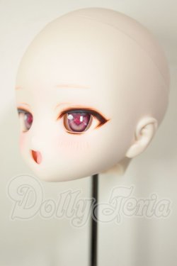 画像3: DD/DDH-29　カスタムヘッド A-26-08-10-118-NY-ZA