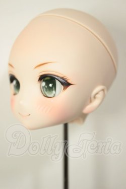 画像3: DD/DDH-27:カスタムヘッド A-26-08-10-124-NY-ZA