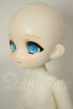 画像4: TinyFox/町の創造主 狐狐神 A-26-08-17-124-NY-ZA