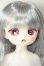 画像1: TinyFox/幼い赤狼リトルアンナ1/6 A-26-08-17-119-NY-ZA (1)