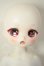 画像2: TinyFox/幼い赤狼リトルアンナ1/6 A-26-08-17-119-NY-ZA (2)