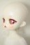 画像4: TinyFox/幼い赤狼リトルアンナ1/6 A-26-08-17-119-NY-ZA (4)