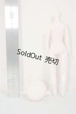 画像2: 1/6サイズ/ボディ+ヘッド A-26-08-17-105-TN-ZA