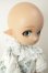 画像3: IMOMODOLL/1/6ヘッド+ボディセット A-26-08-17-107-NY-ZA (3)